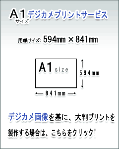 A1fWJvgT[rX̏ڍׂ͂