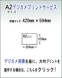 A2fWJvgT[rX̏ڍׁE͂