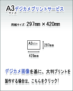 A3fWJvgT[rX̏ڍׂ͂