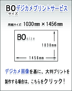 B0fWJvgT[rX̏ڍׂ͂