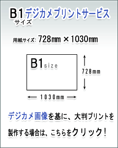 B1fWJvgT[rX̏ڍׂ͂