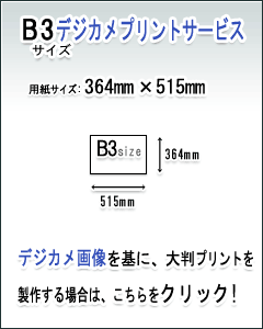 B3fWJvgT[rX̏ڍׂ͂