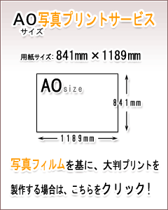 A0ʐ^vgT[rX̏ڍׂ͂