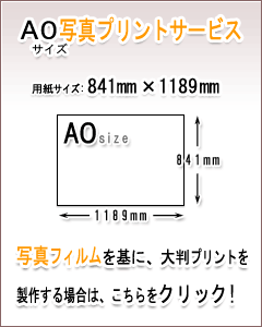 A1ʐ^vgT[rX̏ڍׂ͂