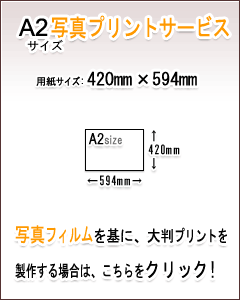 A2ʐ^vgT[rX̏ڍׁE͂