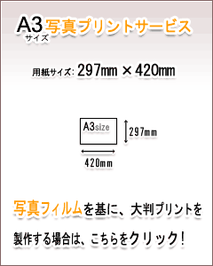 A3ʐ^vgT[rX̏ڍׂ͂