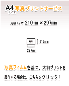 A4ʐ^vgT[rX̏ڍׂ͂