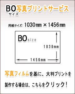 B0ʐ^vgT[rX̏ڍׂ͂