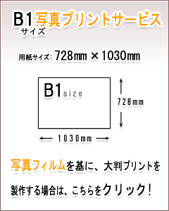 B1ʐ^vgT[rX̏ڍׂ͂