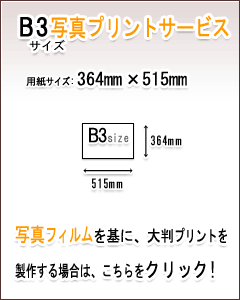 B3ʐ^vgT[rX̏ڍׂ͂