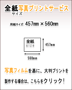 STCYʐ^vgT[rX̏ڍׂ͂