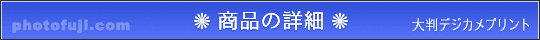 fWJvgT[rX̏ڍ