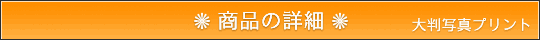 商品の特徴 - 大判写真プリントサービス
