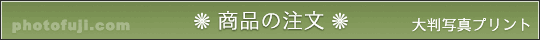 i̓ - 唻ʐ^vgT[rX