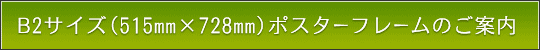 B2TCY(515mm~728mm)̖{iz^Cṽ|X^[t[̂ē