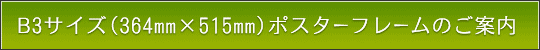 B3TCY(364mm~515mm)̖{iz^Cṽ|X^[t[̂ē