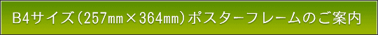 B4TCY(257mm~364mm)̖{iz^Cṽ|X^[t[̂ē