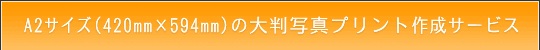 A2TCY̑唻ʐ^vg쐬T[rX̂ē