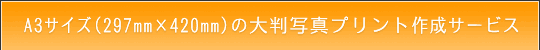 A3TCY̑唻ʐ^vg쐬T[rX̂ē