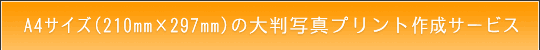A4TCY̑唻ʐ^vg쐬T[rX̂ē