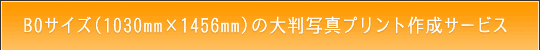 B0TCY̑唻ʐ^vg쐬T[rX̂ē