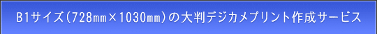 B1TCY(728mm~1030mm)̃fWJvgT[rX̂ē
