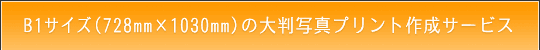 B1TCY̑唻ʐ^vg쐬T[rX̂ē