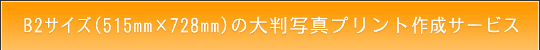 B2TCY̑唻ʐ^vg쐬T[rX̂ē