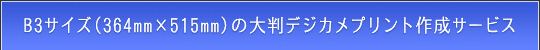 B3TCY(364mm~515mm)̃fWJvgT[rX̂ē