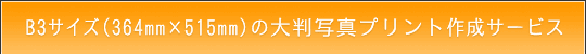 B3TCY̑唻ʐ^vg쐬T[rX̂ē