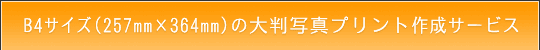 B4TCY̑唻ʐ^vg쐬T[rX̂ē