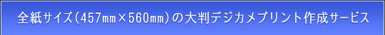 STCY(457mm~560mm)̃fWJvgT[rX̂ē