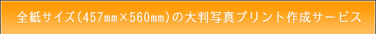 STCY̑唻ʐ^vg쐬T[rX̂ē