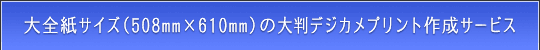 STCY(508mm~610mm)̃fWJvgT[rX̂ē