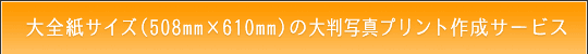 STCY̑唻ʐ^vg쐬T[rX̂ē