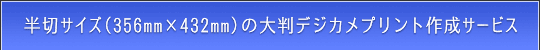 ؃TCỸfWJvgT[rX̂ē