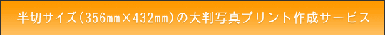 ؃TCY̑唻ʐ^vg쐬T[rX̂ē