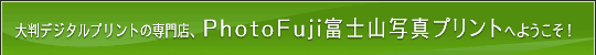 唻TCY̎ʐ^AxmRʐ^vg