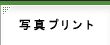 ʐ^vg