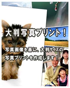 唻ʐ^vgT[rX