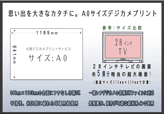 A0TCY̑唻vgT[rX̂ēłB