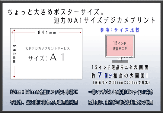 A1TCY̑唻fWJvgT[rX̂ēłB