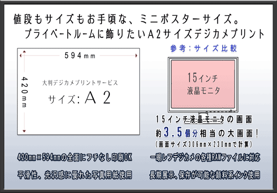 A2TCỸfWJvgT[rX̂ēł