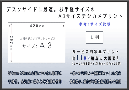A3TCY̎ʐ^vgT[rX̂ē