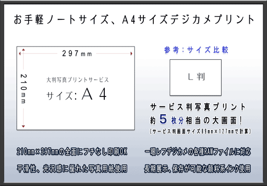 A4TCYʐ^vgT[rX̂ē