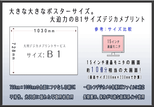 傫ȑ傫ȃ|X^[TCYB唗͂B1TCYfWJvg
