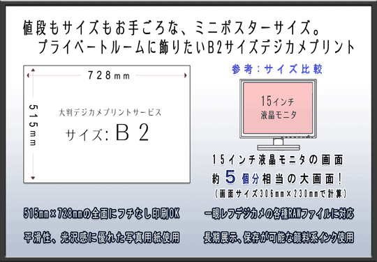 liTCY荠ȃ~j|X^[TCYBvCx[g[ɏ肽B2TCYfWJvgT[rX