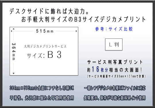 fXNTChɏΑ唗́BB3TCY̑唻vgT[rX̂ēł
