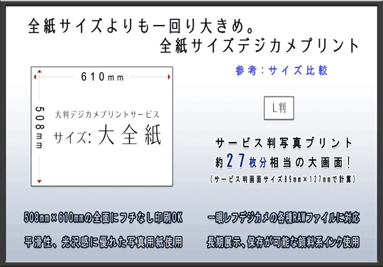STCY傫߁BSTCYfWJvgT[rX