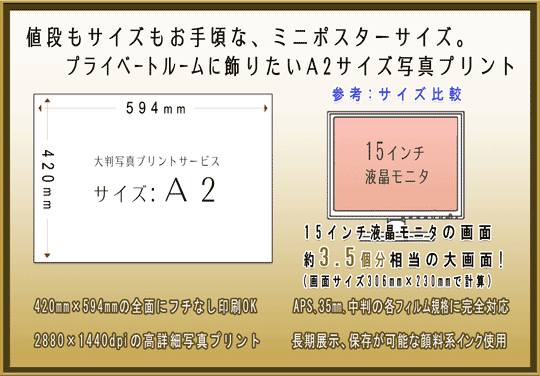 A2TCY(420~594mm)̎ʐ^vgT[rX̂ēł